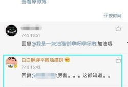 网红黑料网址,揭开网络舆论背后的真相