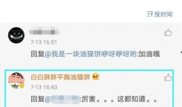 网红黑料网址,揭开网络舆论背后的真相