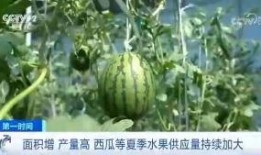 朝阳吃瓜群众最新网站 吃瓜爆料,揭秘娱乐圈幕后真相